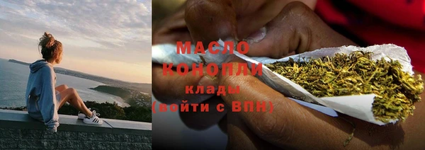 молекула духа Богородск