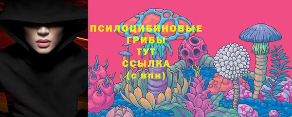 молекула духа Богородск