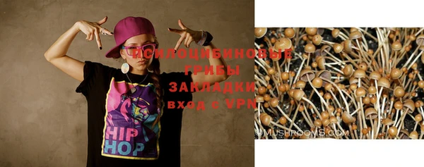 скорость Богородицк