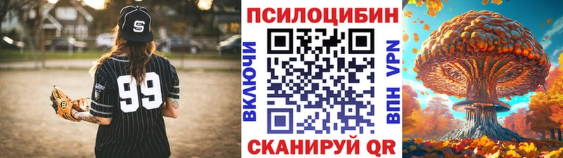 Псилоцибиновые грибы Cubensis  Купить закладки  Неман 